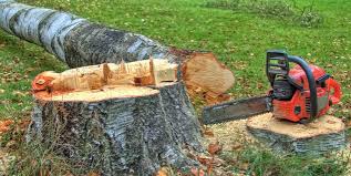 Reliable Hartford, WI Tree Removal and Landscaping Services Solutions